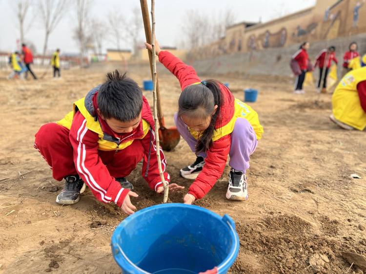 石家庄市新华区:开展丰富多彩的植树节活动_fororder_图片5