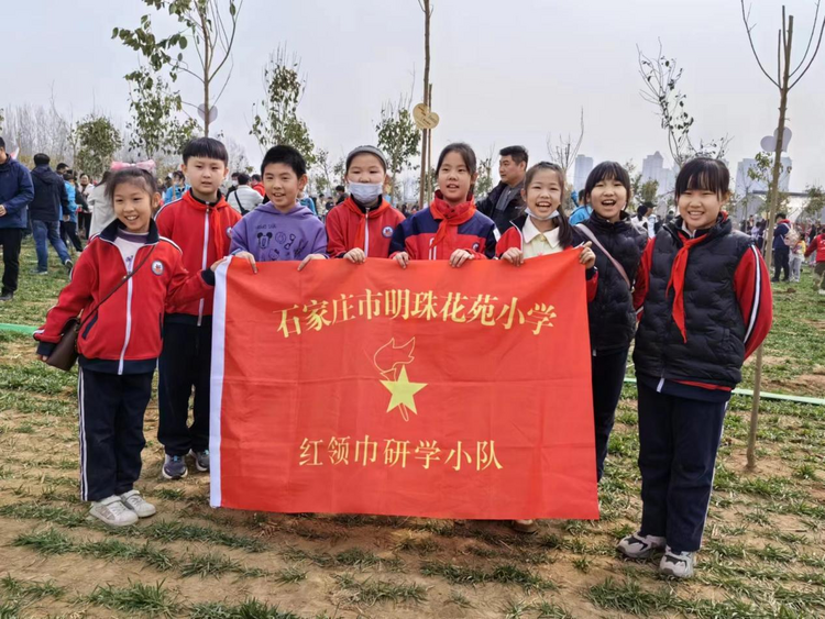 石家庄市新华区:开展丰富多彩的植树节活动_fororder_图片 4