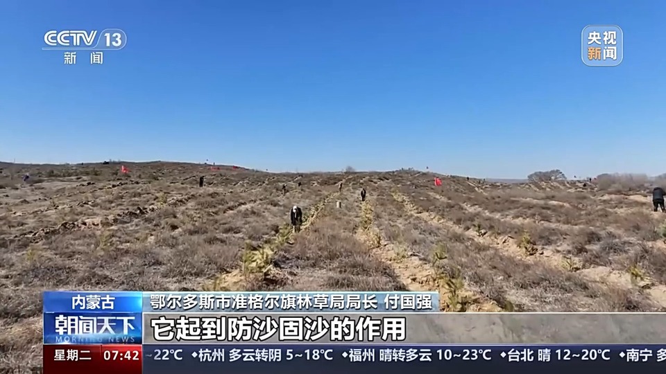 人工林面积世界第一!世界近20年增绿的四分之一都由中国贡献