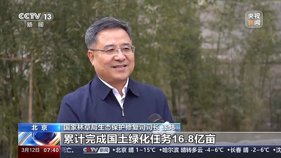 人工林面积世界第一!世界近20年增绿的四分之一都由中国贡献