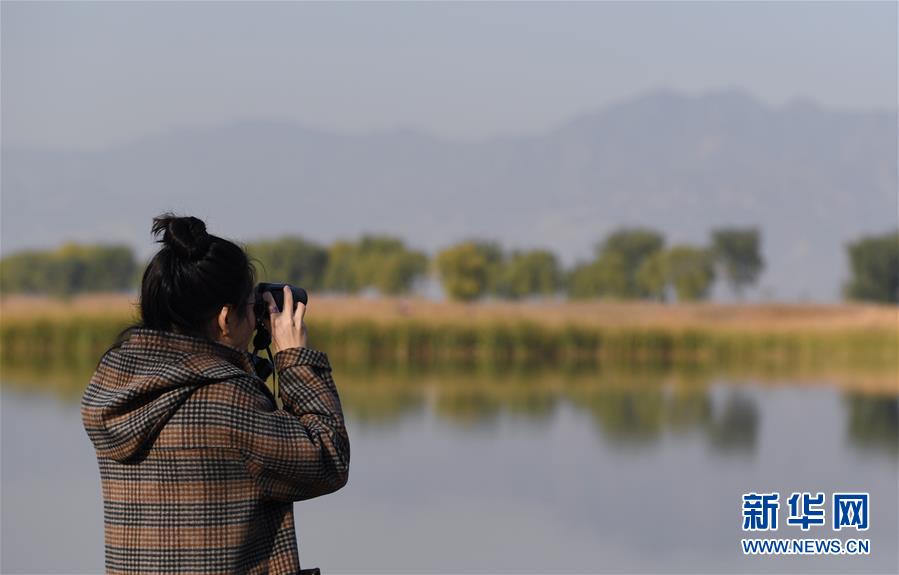 自然观察节走进北京野鸭湖