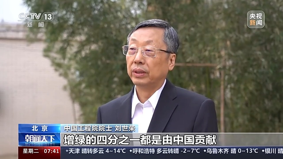 人工林面积世界第一!世界近20年增绿的四分之一都由中国贡献