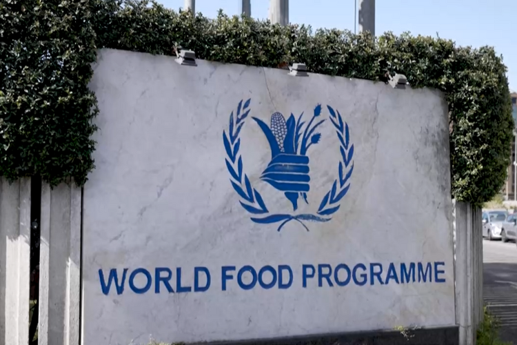 联合国世界粮食计划署：海地“濒临毁灭性的饥饿危机”