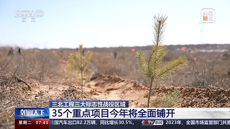 人工林面积世界第一!世界近20年增绿的四分之一都由中国贡献