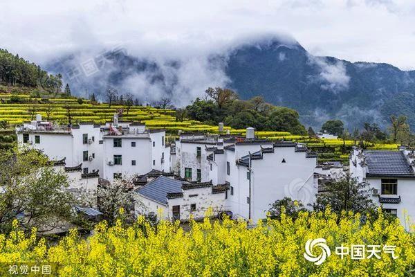 春天去哪儿看花?这份全国春日赏花地图带你找找灵感