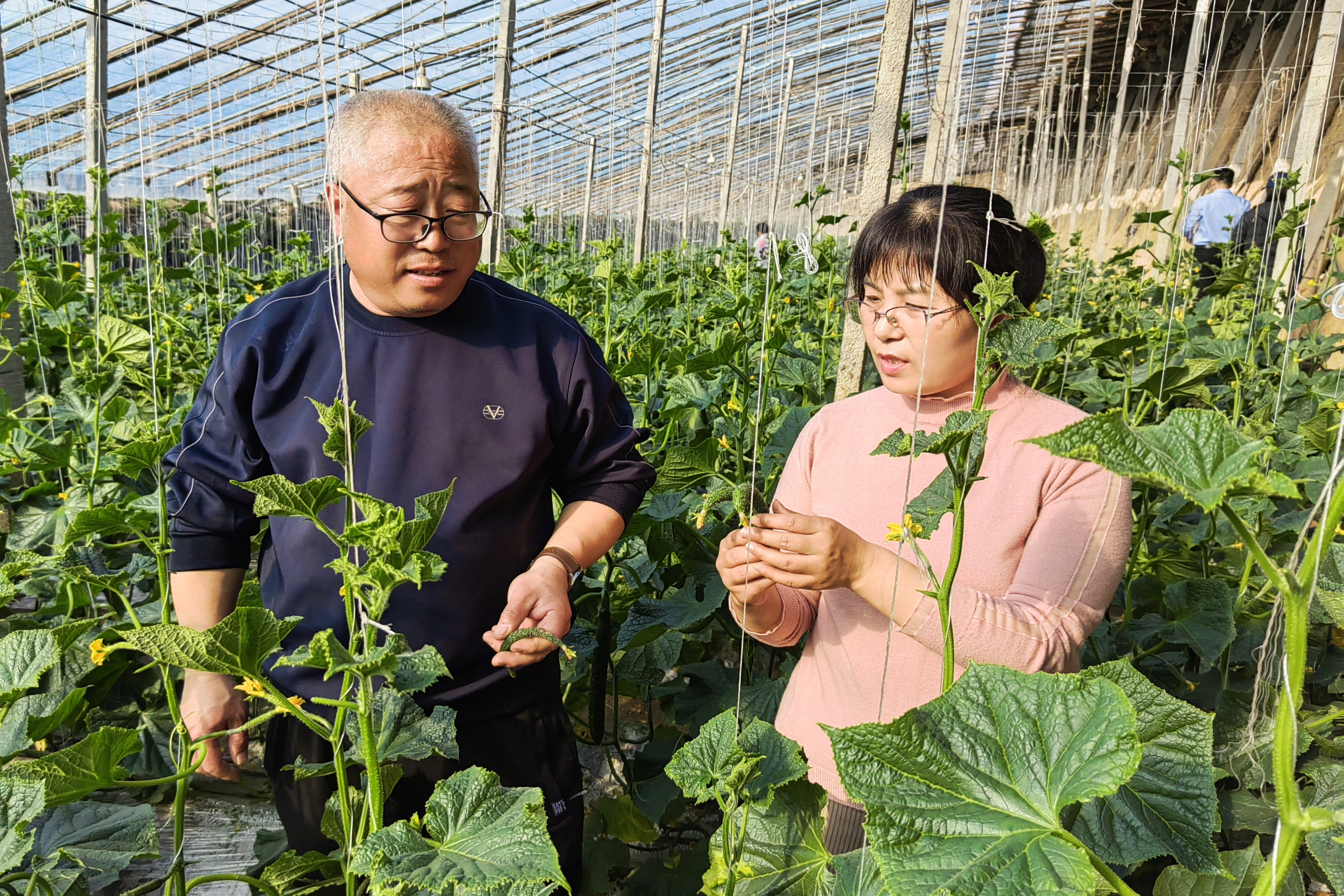 河北定兴:抢抓农时“备战”春耕春管