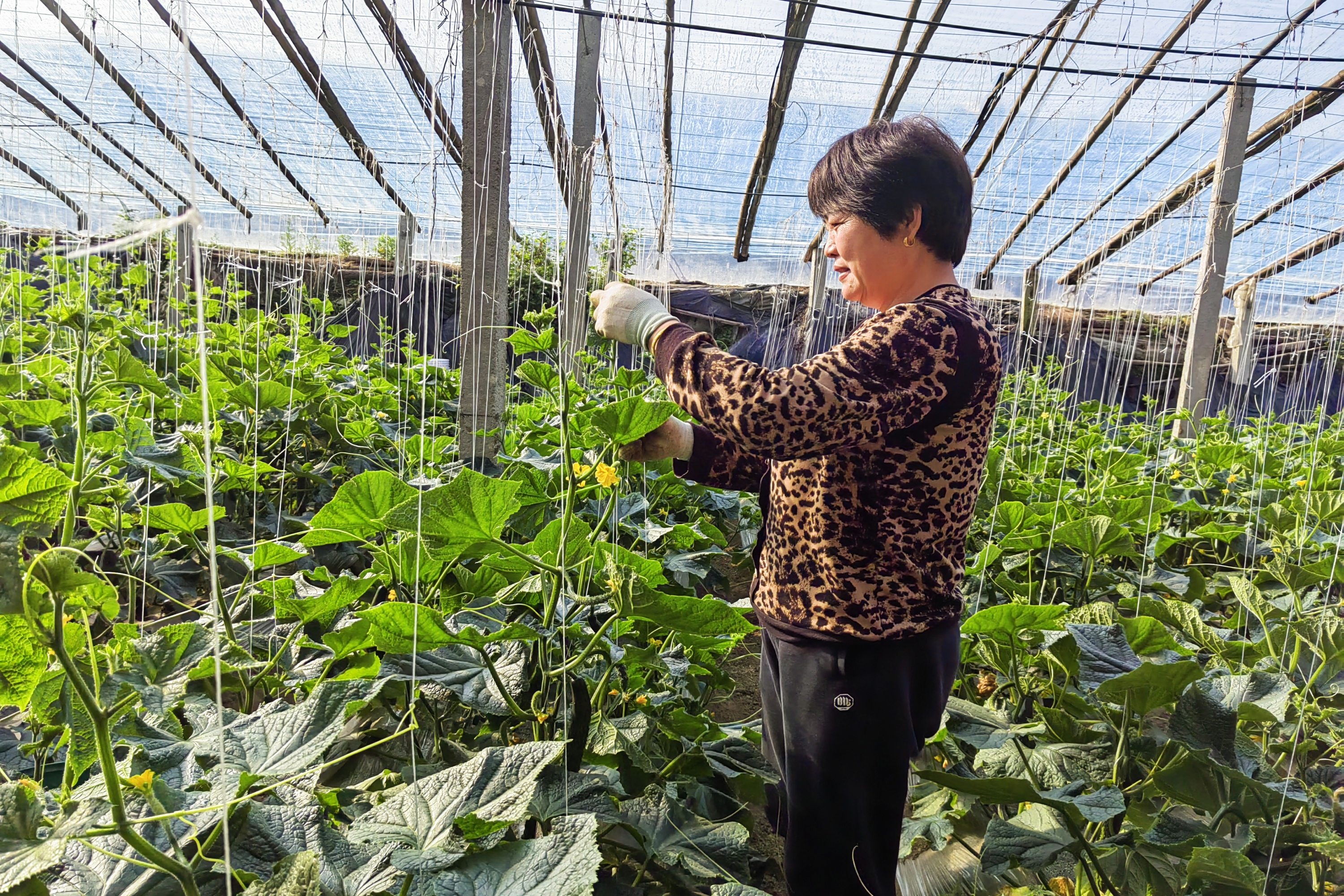 河北定兴:抢抓农时“备战”春耕春管_fororder_003