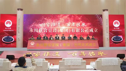 重庆：永川联合豆豉（集团）有限公司正式成立 让百年传承焕发新辉
