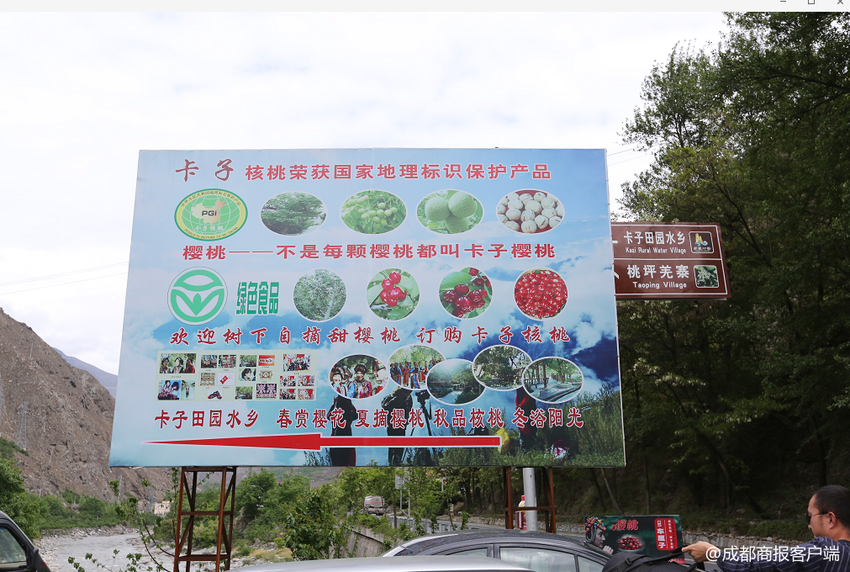 （导航成都）震后十年汶川车厘子出游记：90后羌族美女让车厘子“梦想插电”登上全民餐桌