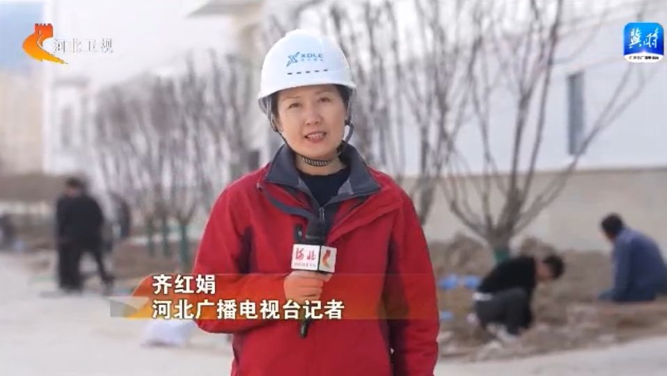 河北:角逐新能源赛道 打造绿色发展新引擎