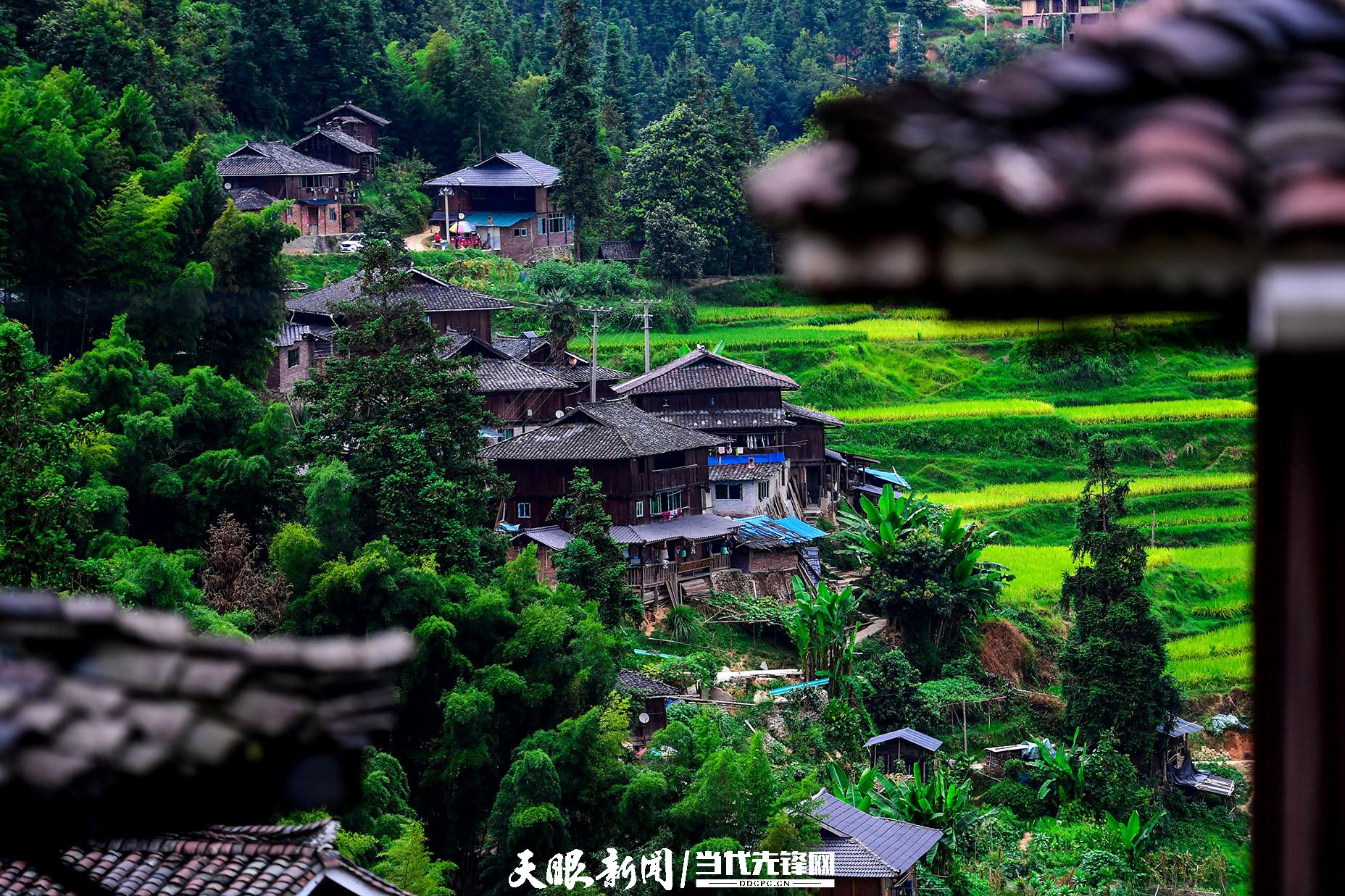 贵州乡村之旅：诗与远方的梦幻田园