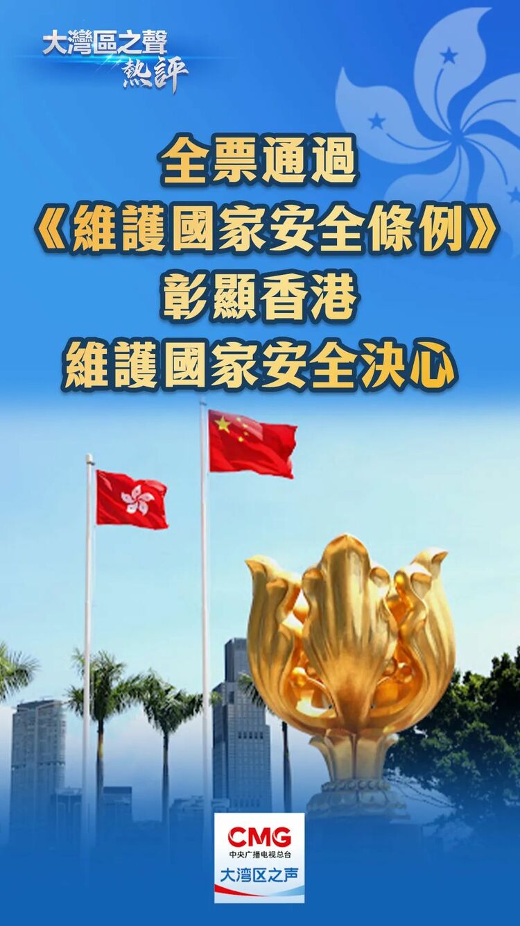 大湾区之声热评:全票通过《维护国家安全条例》,彰显香港维护国家安全决心_fororder_640