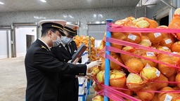 海关出口新鲜果蔬监管模式改革在湖南率先落地