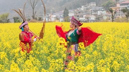贵州水城陡箐镇梅子关村500亩油菜花进入最佳观赏期