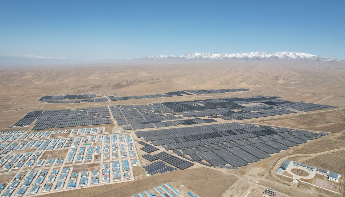 【原创】武威天祝:强化信用建设 助力食用菌产业规范发展_fororder_图片2