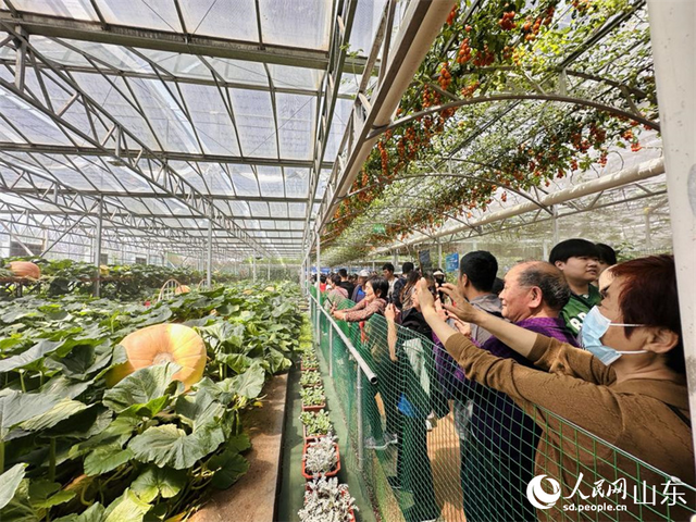 第二十五届中国(寿光)国际蔬菜科技博览会开幕 第二十五届中国(寿光)国际蔬菜科技博览会开幕