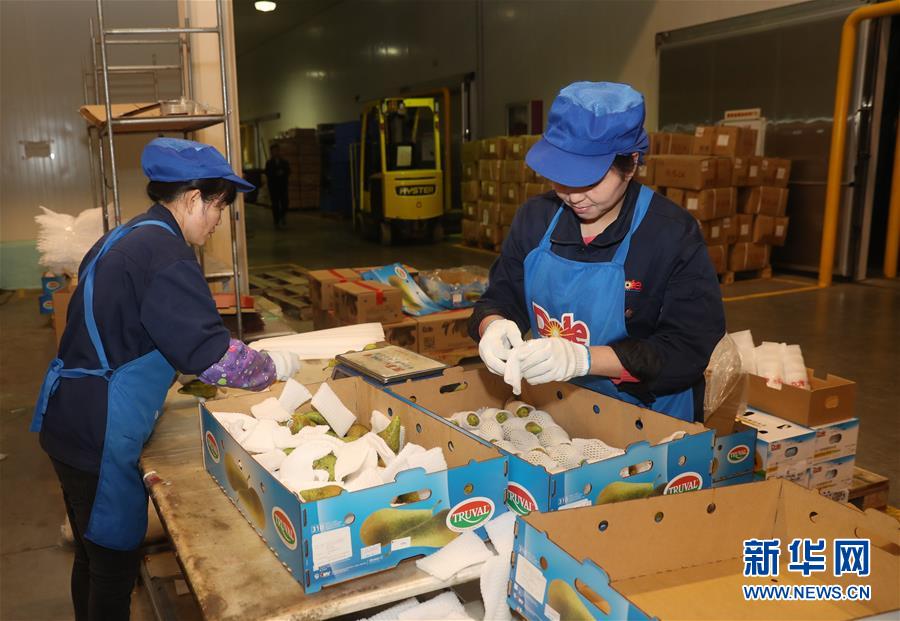 新华网■走进第二届进博会参展企业