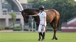 全国首开 武汉商学院马术运动与管理专业成功获批