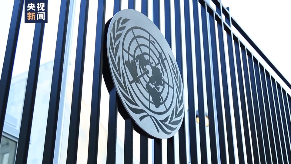 央视记者直击丨联合国和多国强调安理会决议必须得到执行