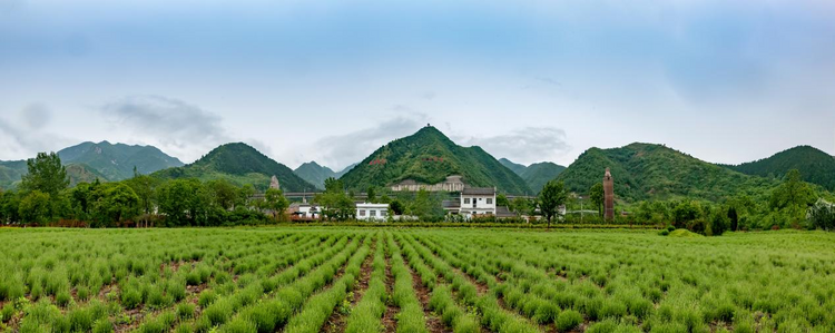渭南市临渭区:挖潜“银发经济”机遇 满足“美好生活”期待_fororder_图片2