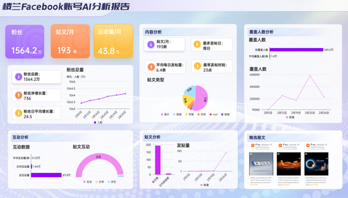 品牌出海社媒传播分析报告——小米篇