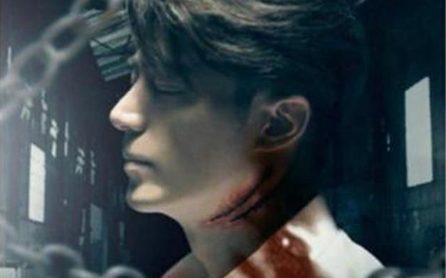 肖奈薄靳言张启山 影视剧中行业的大神苏一脸