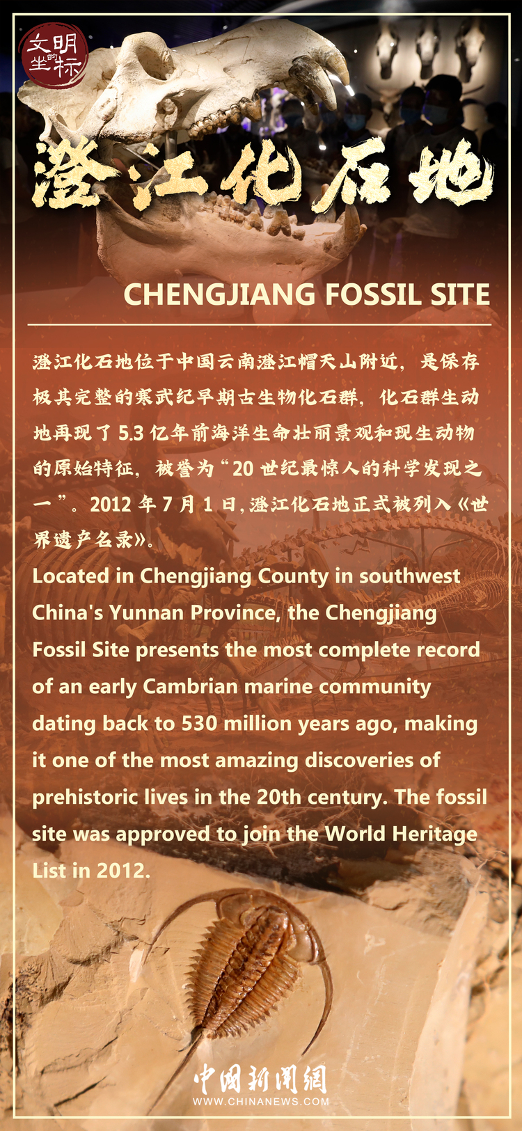 【云南是个好地方】文雅的坐标丨“天下化石宝库”澄江化石地