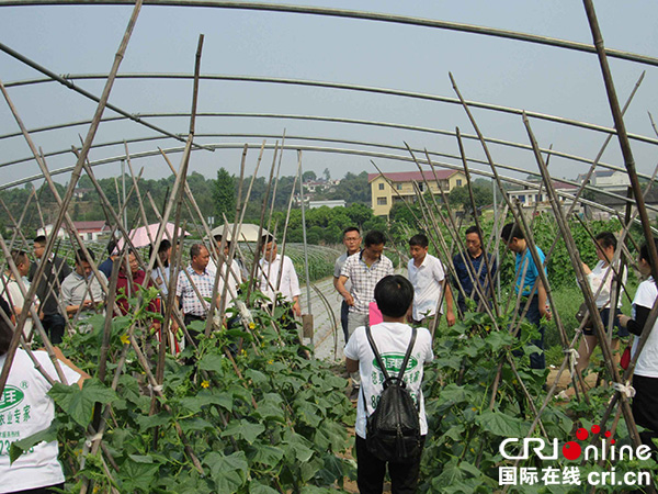 图片默认标题_fororder_专家正在现场参观