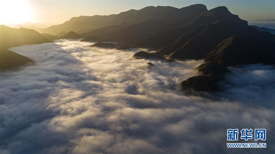 新华网：神农架大九湖风光