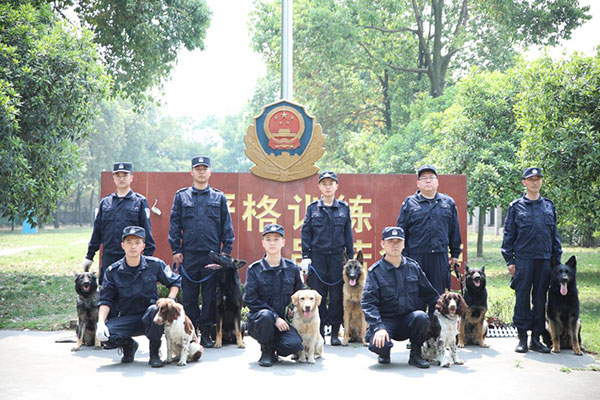 图片默认标题 图片默认标题_fororder_3