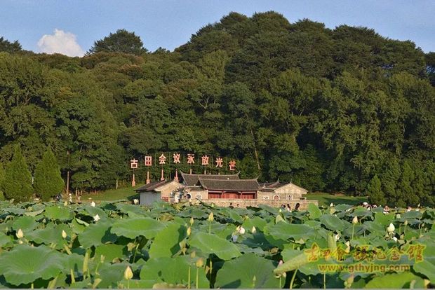 历史选择了古田