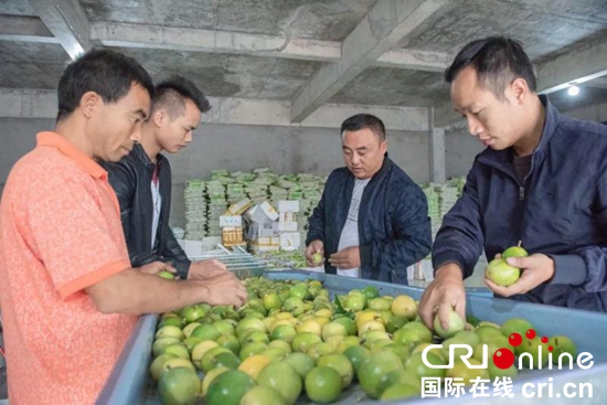 贵州荔波：百香果成了老百姓致富的“黄金果”