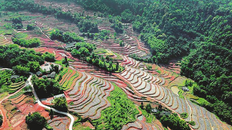 （头条-文字列表）四川各地干劲十足 脱贫攻坚“春季攻势”战犹酣