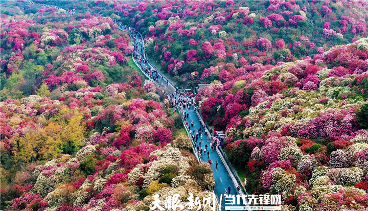 “黔”景无限！贵州奋力打造世界级旅游目的地