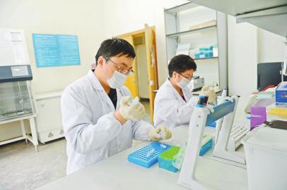 （焦点图，导航成都，移动端）寻找基因密码 让肉回归“小时候的味道”