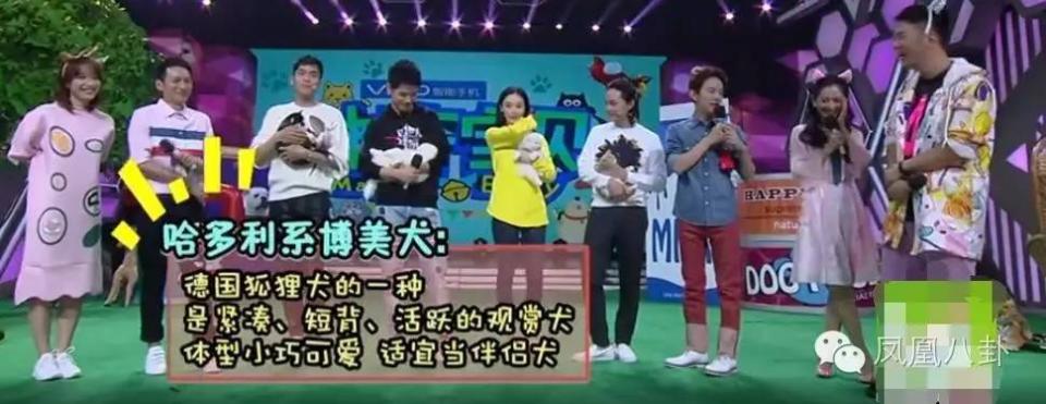 谢娜冷脸张馨予 杜海涛:东方神鸡谢娜大笑