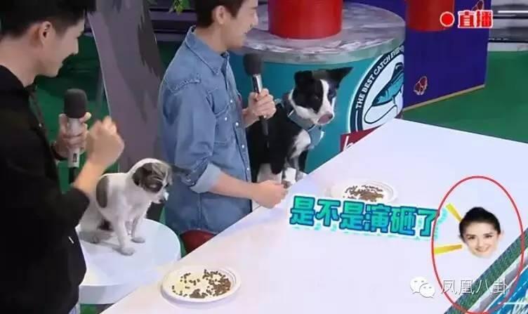 谢娜冷脸张馨予 杜海涛:东方神鸡谢娜大笑