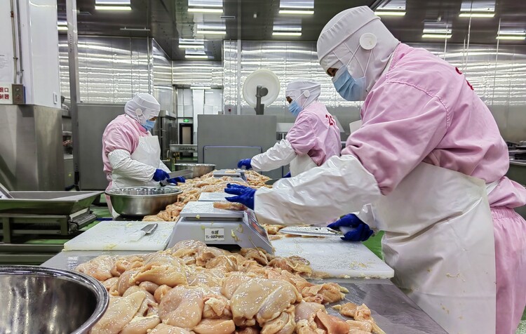 河北定兴:优化营商环境“软实力” 打造产业发展“新高地”_fororder_10194017