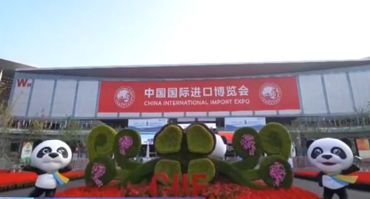 「央视网」第二届进博会11月5日开幕 凸显五大亮点