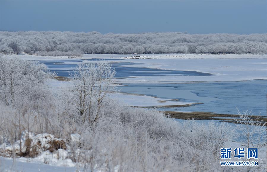 新华网@黑龙江上呈现雾凇美景