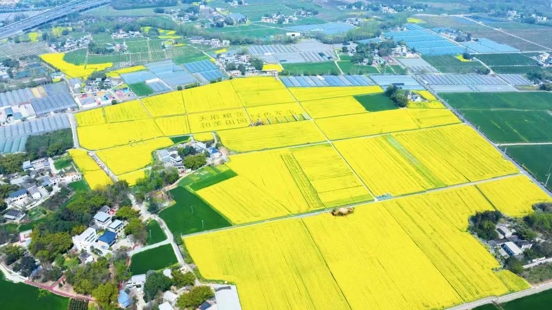 (转载)总投资42.5亿元 助力新都天府粮仓精品区建设