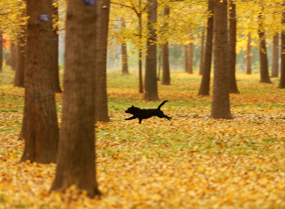 经济日报■11月起，这些新规将影响你我的生活→