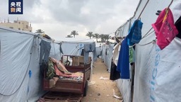 马瓦西“人道主义区”成生存挑战 加沙民众生活陷绝境