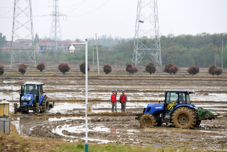 State Grid Wuhan Electric Power Supply Company Ensures Stable Power Supply for Smart Spring Farming_fororder_图片3