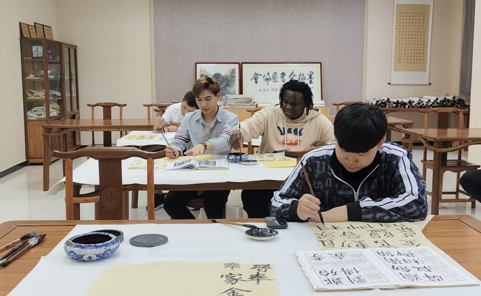 老外在渭南｜墨舞中西 国际学生在一撇一捺中感受中国文字魅力_fororder_图片3