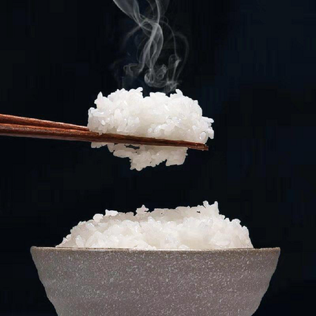 「新华网」进博抢“鲜”看丨金枪鱼家族、意大利面团、“Q弹”速