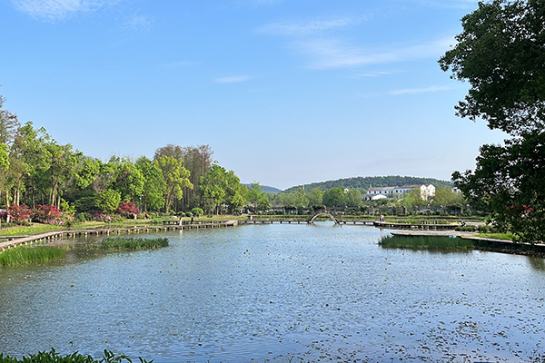 与春相逢在东湖丨在武汉东湖探索“植物王国”