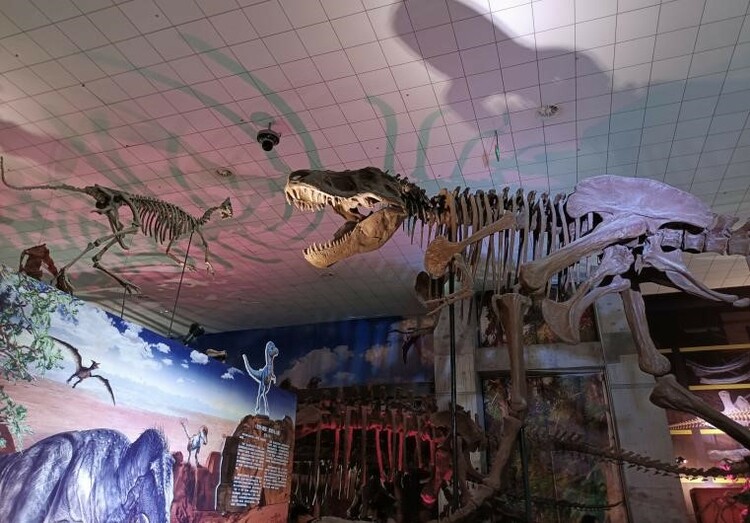 山东大学博物馆《生存﹒探索：恐龙与人类》展览引发热议_fororder_1