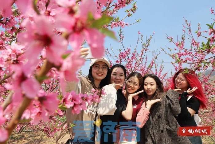 济南钢城区：桃花源里引来“洋朋友”