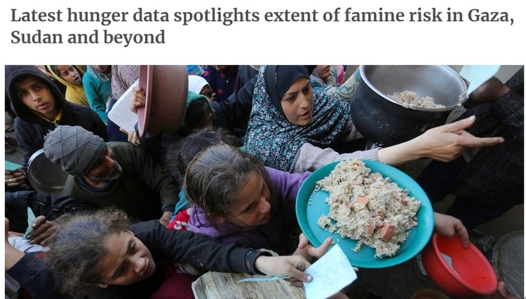 全球2.8亿人面临严重粮食安全问题 冲突热点地区的粮食危机令人震惊
